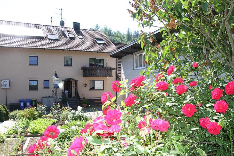 Apartment Baden Baden Haus Am Ibachweg Baden-Bade Exterior foto